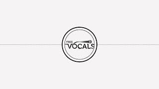 Free Vocals ElevenLabs AI Voice Clones [upl. by Nrubua97]