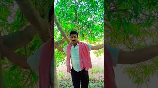 song music soundar sopana bollywood bollywoodsongs [upl. by Reichel]