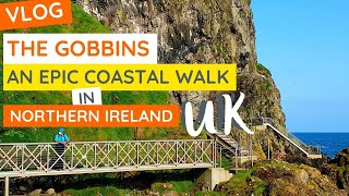 THE GOBBINS CLIFF PATH  Guide of What to Expect What to Wear and What You Will See [upl. by Lucretia]