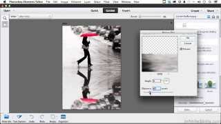 Photoshop Elements 12 Tutorial  Making Reflections [upl. by Sitruc]