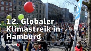 Globaler Klimastreik  Polizei erwartet 7000 Teilnehmer in Hamburg [upl. by Irim]