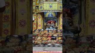 Chappan Bhog in Shri Gorelal Ji ki Kunj Chandiya Utsav 2024 vrindavan [upl. by Seys]