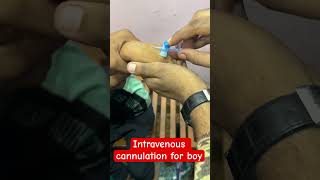 Intravenous cannulation  cannula trending shorts hospital doctor SMpharmacy plz follow [upl. by Simara]