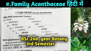 Family Acanthaceae in hindi  BSc 2nd year Botany 3rd Semester [upl. by Eimmat]