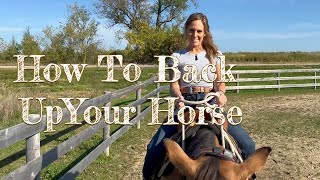 How to Back Up Your Horse  Riding Lessons for Beginners [upl. by Ardnuhs]