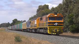 AURIZONS NEW INTERMODAL 81s BACK IN VICTORIA  Western Standard Gauge Action [upl. by Dominic]