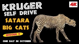 Where To Drive In Kruger  Satara Area [upl. by Maryrose]