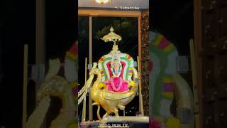 Lord Murugan Devotional Song  Tamil Devotional Songs Hindu Devotional Hits  Lord ShanmuganSongs [upl. by Yunfei528]