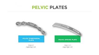 Pelvic Plate [upl. by Ries224]