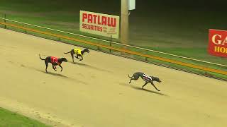 Rockhampton23102024Race7 [upl. by Caundra]