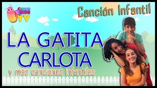 🐈 LA GATITA CARLOTA ♫♪ BAILA CON LOS MUSIKIDS 🐈 [upl. by Hofstetter]