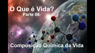 O Que é Vida 06  Composição Química da Vida [upl. by Joachima]