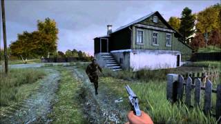 DayZ 047 Ragdoll Physics [upl. by Ramma]