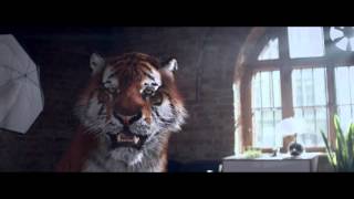 Tiger Energy Drink amp AbstrachujeTV – Kogut Android [upl. by Sirmons]