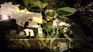 Toñín Corujo Quartet en Jameos del Agua [upl. by Bendite814]