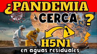 ¡ALERTA CIENTÍFICOS REVELAN PRESENCIA DEL VIRUS DE LA GRIPE AVIAR H5N1 EN AGUAS RESIDUALES EN EEUU [upl. by Robina]