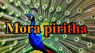 Mora piritha  මොර පිරිත [upl. by Siol]