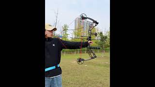 What is it that combines appearance and performance Its name is pangu compound bow archery [upl. by Ebaj]