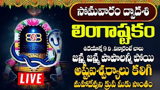 లింగాష్టకం  LINGASHTAKAM MONDAY SPECIAL POWERFUL BHAKTI SONGS 2024 [upl. by Nwahsyd]