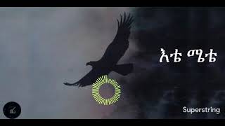 Teshome Miteku  Etemete with Lyrics እቴሜቴ [upl. by Wagshul]