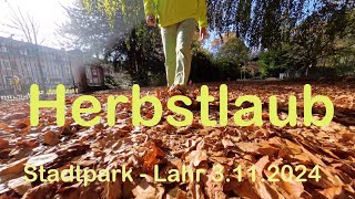 Herbstlaub  Stadtpark Lahr  3112024 [upl. by Ynatirb]