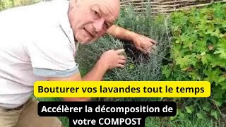 Bouturer vos lavandes n importe quand  Accélérer la décomposition de votre compost [upl. by Grefe]