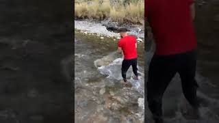 Crystal Clear Water Net Fishing snow trout Amazingshorts [upl. by Nevanod17]