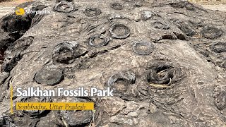 Salkhan Fossils Park [upl. by Buschi]