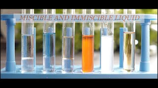 Experiment on Miscible and immiscible liquids [upl. by Peony]