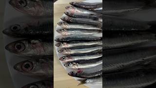 How to clean and make anchovy fillets quickly  Cleaning Fish 5minutecrafts seafood foodie [upl. by Delmore]