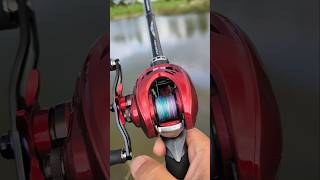 2019 Daiwa Admira 100HL มีดีที่สีสวยเลยรุ่นนี้ shots fishing shortvideo [upl. by Chrysler]