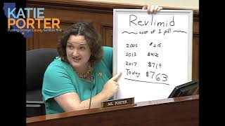 Rep Porter grills Big Pharma CEO for price gouging [upl. by Olenka]