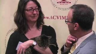 Owner discusses cats cancer diagnosis treatment and recovery [upl. by Rebor694]