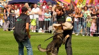 Schutzhund in Action Working Dog Show [upl. by Lamarre]