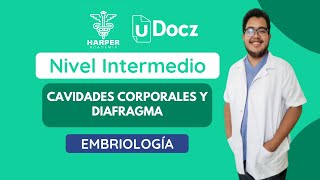 Cavidades corporales y diafragma con Harper Academia amp uDocz 📚 Nivel Intermedio [upl. by Rehtaeh621]