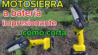 MOTOSIERRA A BATERIA IMPRESIONANTE COMO CORTA [upl. by Nela]