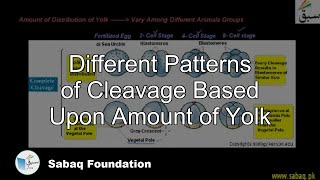 Different Patterns of Cleavage Based Upon Amount of Yolk Biology Lecture  Sabaqpk [upl. by Spielman]