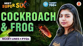 COCKROACH amp FROG 🐸 New NTA Syllabus  NCERT Lines  PYQs Solving  Class 11 Zoology  NEET 2024 [upl. by Ostap]