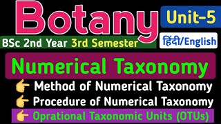 Numerical Taxonomy in HindiMethod of Numerical TaxonomyOprational Taxonomic UnitsBSc 3rd Semester [upl. by Samuella593]