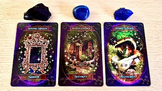 🐻‍❄️🔮YES or NO 🐈‍⬛🤍PICK A CARD Timeless Tarot Reading [upl. by Melan]