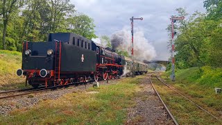 Pt4765 z pociągiem 77815 do Zbąszynka Wolsztyn 07052024 [upl. by Betta177]