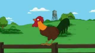 RETARDED ROOSTER Family Guy [upl. by Anairo]