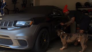 Trackhawk Wrap removal pt I Merle Bully special appearance [upl. by Fugere]