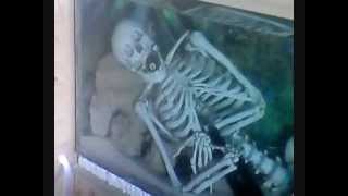 Unseen GraphicJeffrey Dahmer victims skeleton in tank [upl. by Annis]