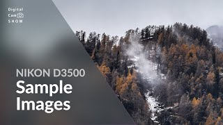 Nikon D3500 Sample Images With Camera Settings in photography [upl. by Saalocin]