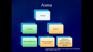 Asma Bronquial Definición factores de riesgo y etiología [upl. by Yolande999]