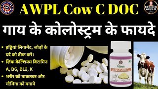 Benefits of Colostrum  Colostrum Ke Fayade  Cow C Doc Awpl  Striker Guru Ji [upl. by Erreip]