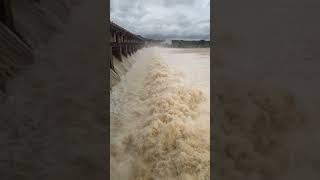 Gajanur Dam Shimoga Karnataka [upl. by Beebe361]