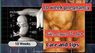 10 week of pregnancy in urdu  talkabouthealth9675 [upl. by Lyrem]