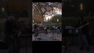 Freebird Outro lynyrdskynyrd livemusic paloalto sfbayarea mitchellpark [upl. by Simsar]